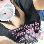 ヒメ日記 2025/09/01 10:17 投稿 なる 群馬伊勢崎ちゃんこ