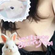 ヒメ日記 2025/09/04 16:17 投稿 なる 群馬伊勢崎ちゃんこ