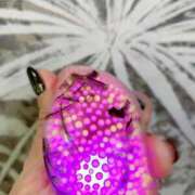 ヒメ日記 2025/06/19 23:17 投稿 ケイ 名古屋痴女性感フェチ倶楽部