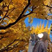 ヒメ日記 2025/11/22 20:20 投稿 あおい SPIN(スピン)