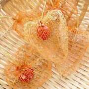 ヒメ日記 2025/08/20 08:49 投稿 ましろ 鶯谷おかあさん