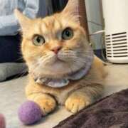 ヒメ日記 2025/11/08 09:41 投稿 七海 みお 大人のエッチなエステ