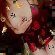 ヒメ日記 2024/12/22 14:52 投稿 みれい sakura