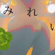 ヒメ日記 2024/12/26 16:22 投稿 みれい sakura