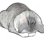 ヒメ日記 2025/01/02 17:20 投稿 みれい sakura