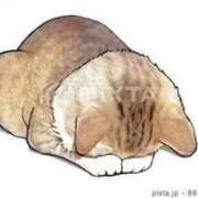 ヒメ日記 2025/03/26 21:52 投稿 みれい sakura