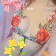 ヒメ日記 2025/04/03 10:42 投稿 みれい sakura