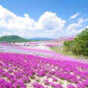 ヒメ日記 2025/06/01 11:52 投稿 みれい sakura