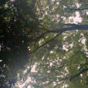 ヒメ日記 2025/08/02 07:22 投稿 みれい sakura