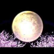 ヒメ日記 2025/08/17 00:02 投稿 みれい sakura