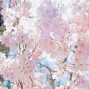 ヒメ日記 2025/10/01 07:12 投稿 みれい sakura