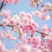 ヒメ日記 2025/12/01 07:02 投稿 みれい sakura