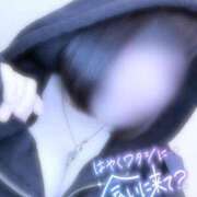 ヒメ日記 2025/04/09 14:22 投稿 かなめ ピーチハニー