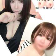 ヒメ日記 2025/09/01 16:30 投稿 かなめ ピーチハニー