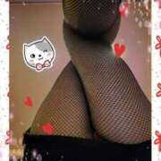 ヒメ日記 2025/03/22 10:42 投稿 ことみ【ロイヤルOP対応】 あなたの全てを包み込む　優しいひとづま