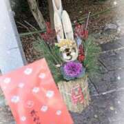 ヒメ日記 2026/01/08 12:06 投稿 ことみ【ロイヤルOP対応】 あなたの全てを包み込む　優しいひとづま