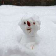 ヒメ日記 2026/02/08 16:07 投稿 れい One More奥様　厚木店