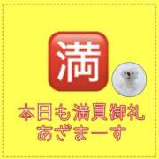 ヒメ日記 2026/02/12 12:17 投稿 れい One More奥様　厚木店