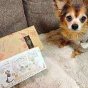 ヒメ日記 2026/02/14 11:07 投稿 れい One More奥様　厚木店