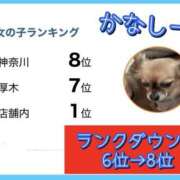 ヒメ日記 2026/02/18 20:07 投稿 れい One More奥様　厚木店