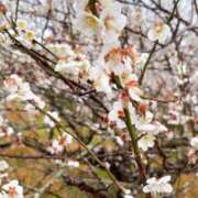 ヒメ日記 2026/02/26 10:37 投稿 れい One More奥様　厚木店