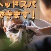 ヒメ日記 2026/03/11 12:07 投稿 れい One More奥様　厚木店