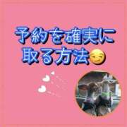 ヒメ日記 2026/03/12 17:07 投稿 れい One More奥様　厚木店