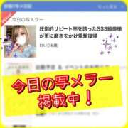 ヒメ日記 2026/03/13 08:07 投稿 れい One More奥様　厚木店