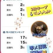 ヒメ日記 2026/03/17 12:07 投稿 れい One More奥様　厚木店