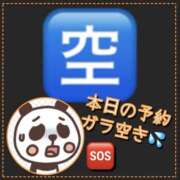 ヒメ日記 2026/03/18 05:57 投稿 れい One More奥様　厚木店