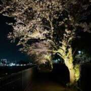 ヒメ日記 2026/04/06 16:07 投稿 れい One More奥様　厚木店