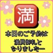 ヒメ日記 2026/04/08 07:07 投稿 れい One More奥様　厚木店