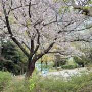 ヒメ日記 2026/04/08 16:07 投稿 れい One More奥様　厚木店