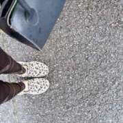 ヒメ日記 2026/04/23 15:47 投稿 れい One More奥様　厚木店