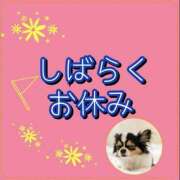 ヒメ日記 2026/05/13 12:07 投稿 れい One More奥様　厚木店