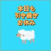 ヒメ日記 2026/05/14 09:17 投稿 れい One More奥様　厚木店