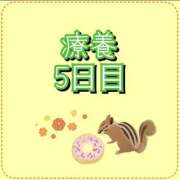 ヒメ日記 2026/05/17 07:07 投稿 れい One More奥様　厚木店