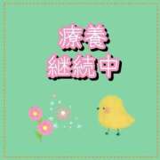 ヒメ日記 2026/05/19 07:07 投稿 れい One More奥様　厚木店