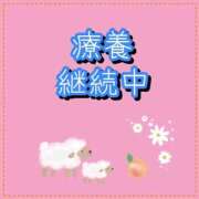 ヒメ日記 2026/05/20 07:07 投稿 れい One More奥様　厚木店