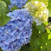 ヒメ日記 2026/06/07 16:07 投稿 れい One More奥様　厚木店