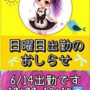 ヒメ日記 2026/06/12 09:57 投稿 れい One More奥様　厚木店