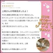 ヒメ日記 2026/06/12 10:07 投稿 れい One More奥様　厚木店