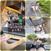 ヒメ日記 2026/07/06 22:07 投稿 れい One More奥様　厚木店