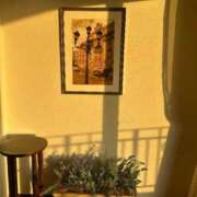 ヒメ日記 2025/07/23 11:48 投稿 ナツ キャンディ(鹿児島)