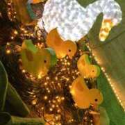 ヒメ日記 2025/07/25 00:21 投稿 ナツ キャンディ(鹿児島)