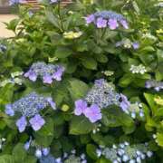 ナツ 鹿児島やばいね😱 キャンディ(鹿児島)