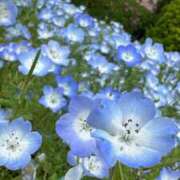 ナツ お疲れ様です！ キャンディ(鹿児島)