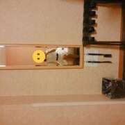 ヒメ日記 2025/12/19 14:24 投稿 みずき 早漏イクイク学院