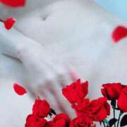 ヒメ日記 2025/11/28 09:22 投稿 いずみ タレント倶楽部Around40