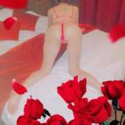 ヒメ日記 2026/01/23 09:34 投稿 いずみ タレント倶楽部Around40